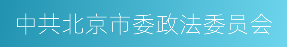 中共北京市委政法委员会的同义词