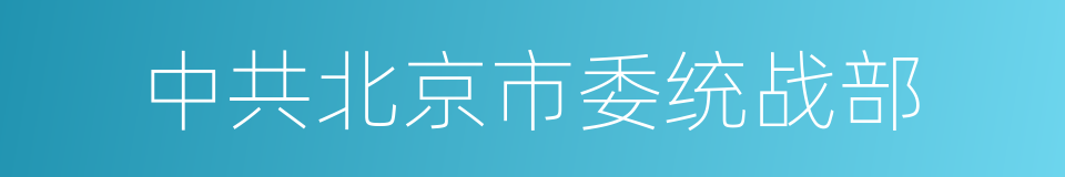 中共北京市委统战部的同义词