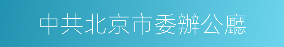 中共北京市委辦公廳的同義詞