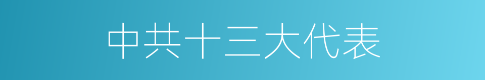 中共十三大代表的同义词