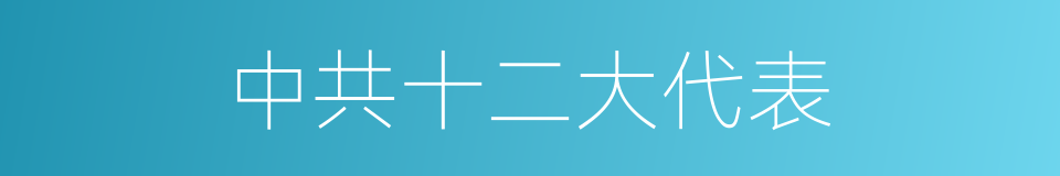 中共十二大代表的同义词