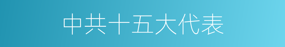 中共十五大代表的同义词