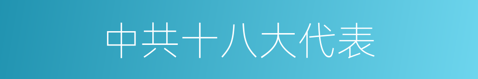 中共十八大代表的同义词