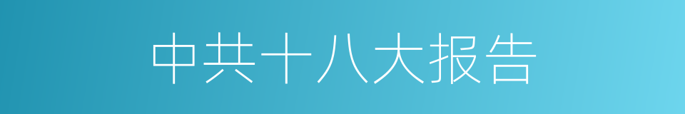 中共十八大报告的同义词