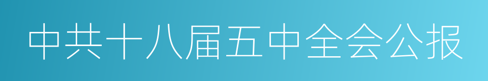 中共十八届五中全会公报的同义词