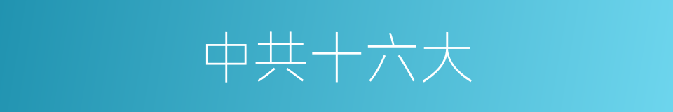 中共十六大的同义词