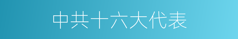 中共十六大代表的同义词