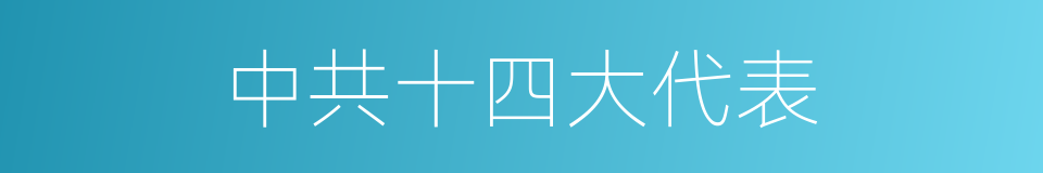 中共十四大代表的同义词