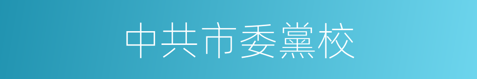 中共市委黨校的同義詞