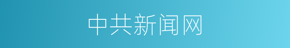 中共新闻网的同义词