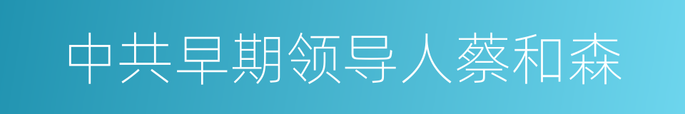中共早期领导人蔡和森的同义词
