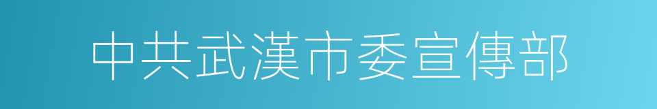 中共武漢市委宣傳部的同義詞