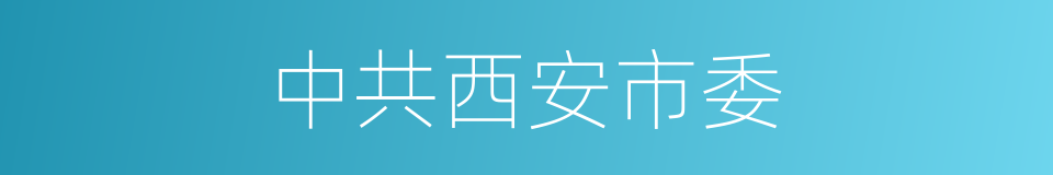 中共西安市委的同义词