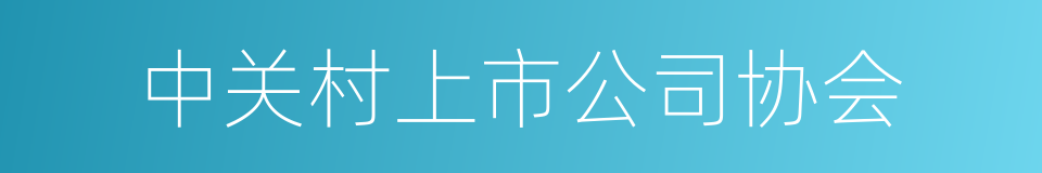 中关村上市公司协会的同义词