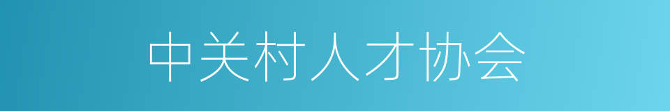 中关村人才协会的同义词