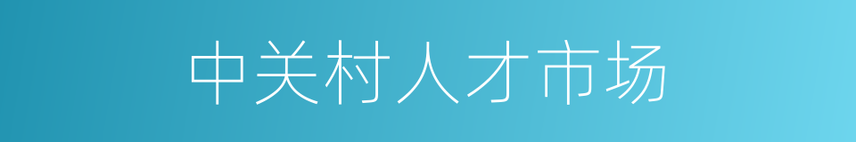 中关村人才市场的同义词