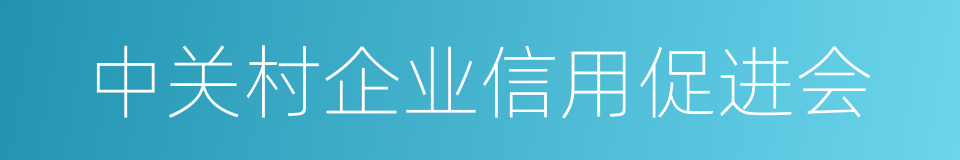 中关村企业信用促进会的同义词