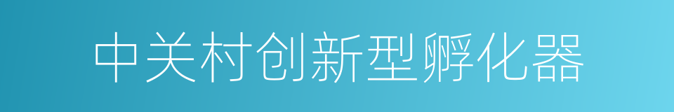 中关村创新型孵化器的同义词