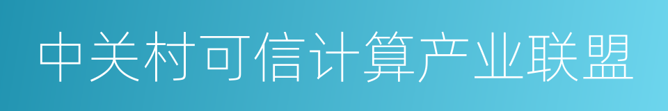 中关村可信计算产业联盟的同义词