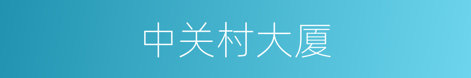 中关村大厦的同义词