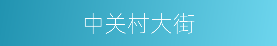 中关村大街的同义词