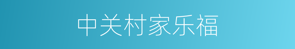 中关村家乐福的同义词