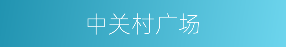 中关村广场的同义词