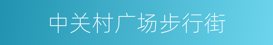 中关村广场步行街的同义词