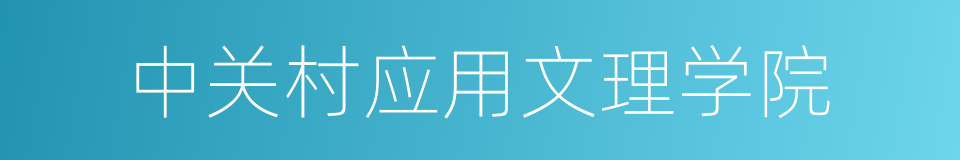 中关村应用文理学院的同义词