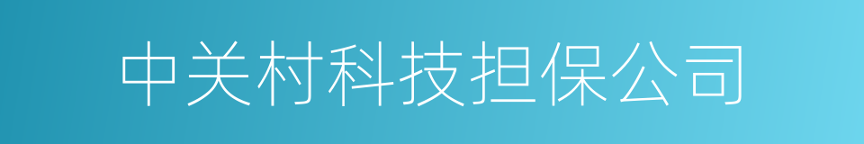 中关村科技担保公司的同义词