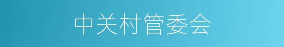 中关村管委会的同义词