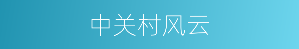 中关村风云的同义词