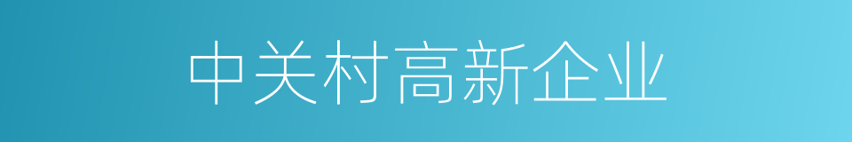 中关村高新企业的同义词