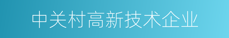 中关村高新技术企业的同义词