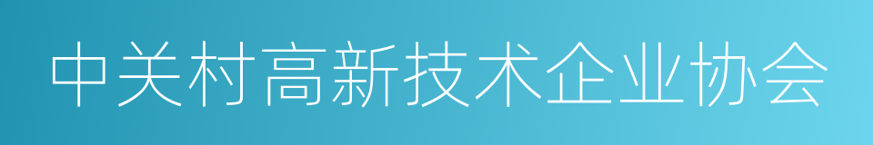 中关村高新技术企业协会的同义词