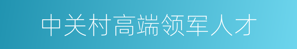 中关村高端领军人才的同义词