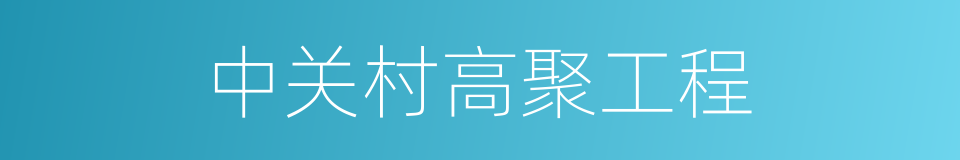中关村高聚工程的同义词