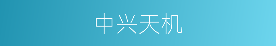 中兴天机的同义词