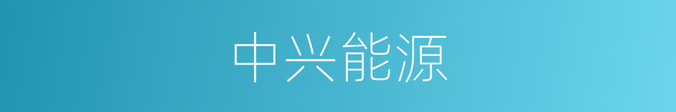 中兴能源的同义词