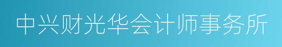 中兴财光华会计师事务所的同义词