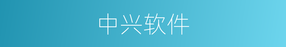 中兴软件的同义词