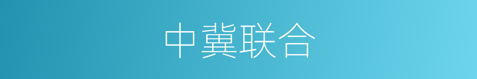 中冀联合的同义词