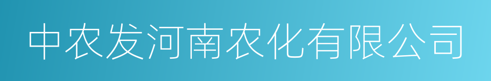 中农发河南农化有限公司的同义词