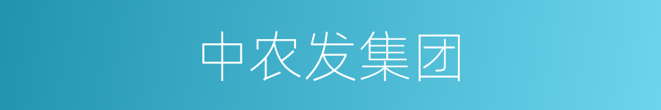 中农发集团的同义词