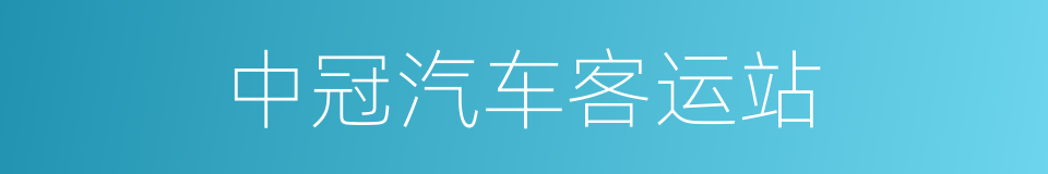 中冠汽车客运站的同义词