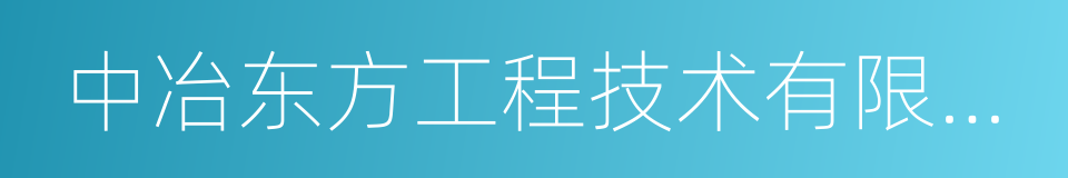 中冶东方工程技术有限公司的同义词