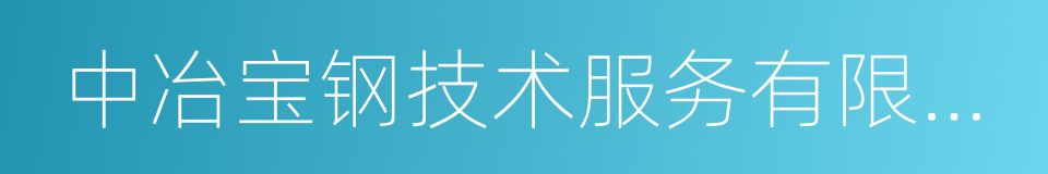 中冶宝钢技术服务有限公司的同义词