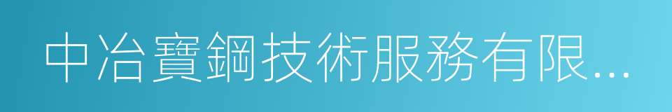 中冶寶鋼技術服務有限公司的同義詞