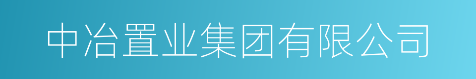 中冶置业集团有限公司的同义词