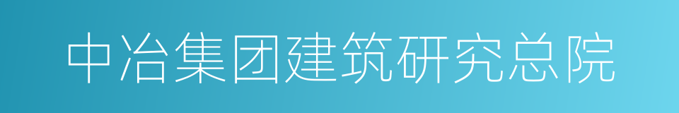 中冶集团建筑研究总院的同义词